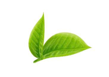 leaf image top right
